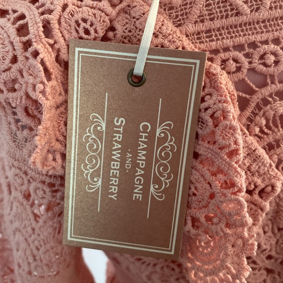 Champagne and strawberry lace top size small - Picture 12 of 14